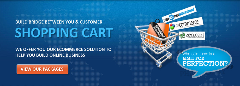 Ecommerce Shopping Cart Website